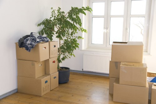 Packing materials and organized boxes for moving